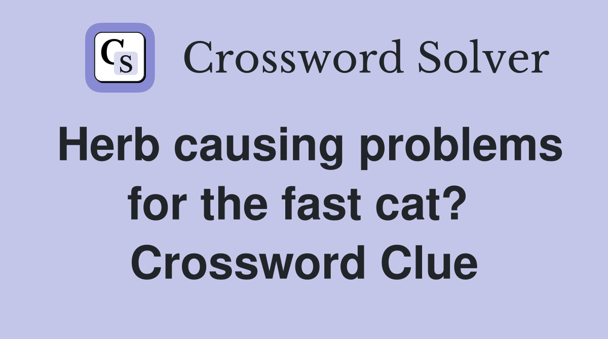 Herb causing problems for the fast cat?  Crossword Clue
