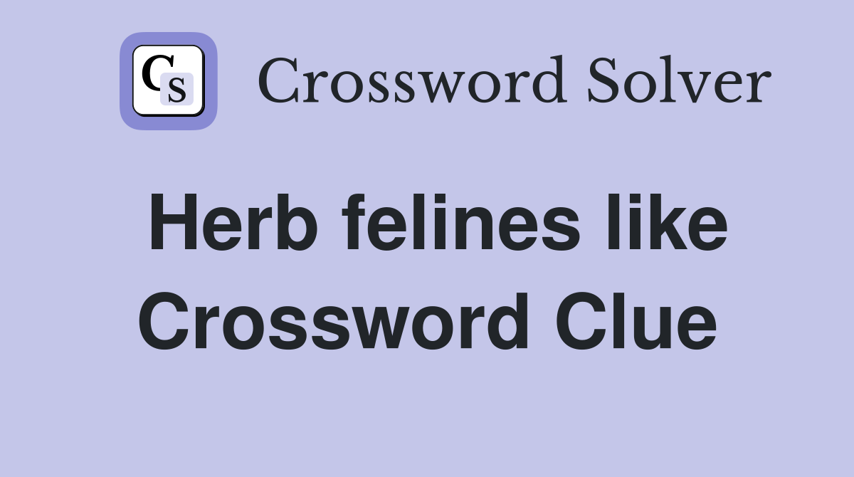 Herb felines like Crossword Clue