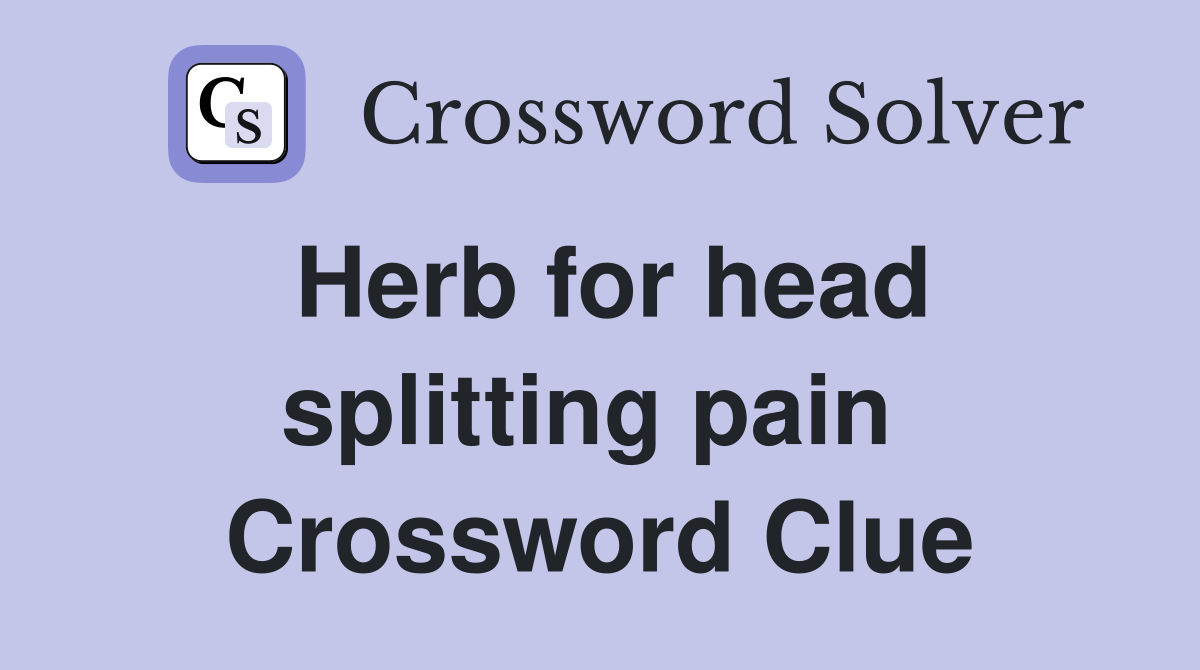 Herb for head splitting pain  Crossword Clue