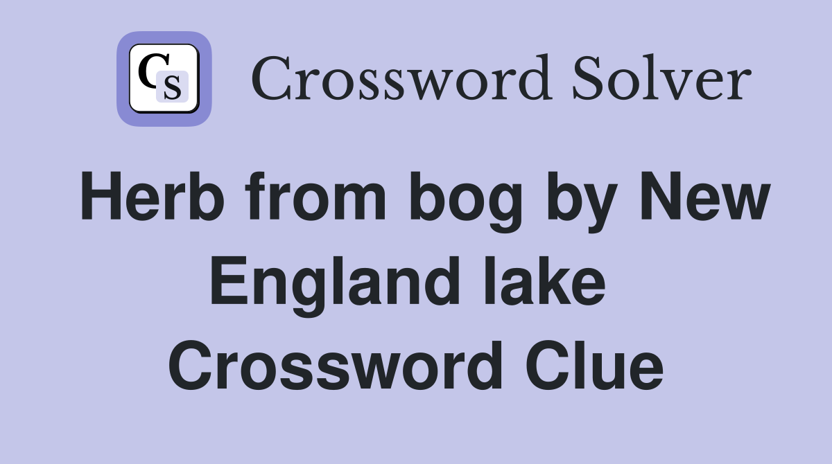 Herb from bog by New England lake  Crossword Clue