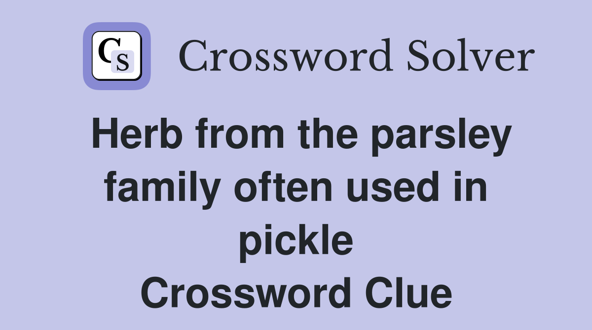 Herb from the parsley family often used in pickle Crossword Clue