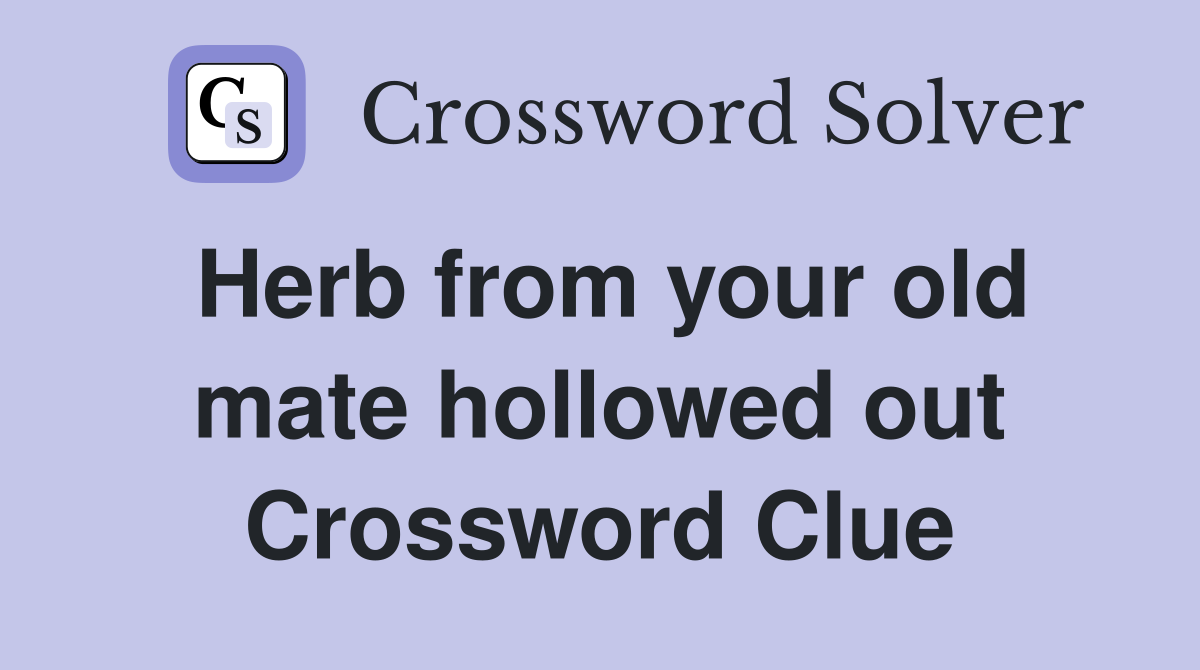 Herb from your old mate hollowed out Crossword Clue