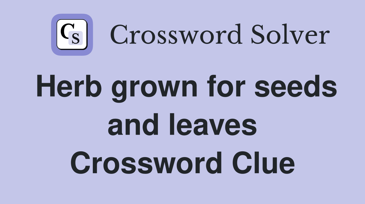 Herb grown for seeds and leaves Crossword Clue