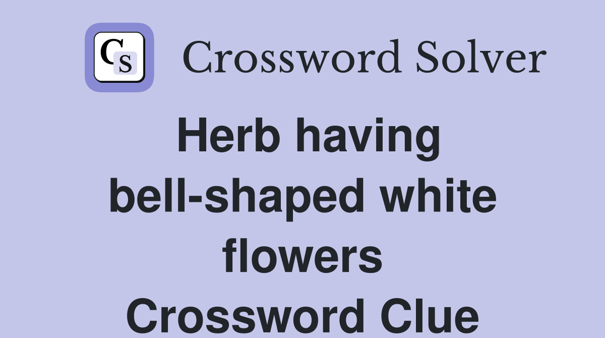 Herb having bell-shaped white flowers Crossword Clue