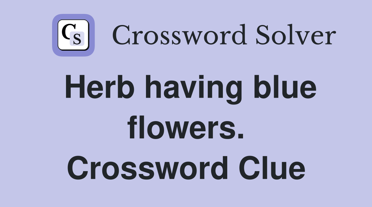 Herb having blue flowers. Crossword Clue