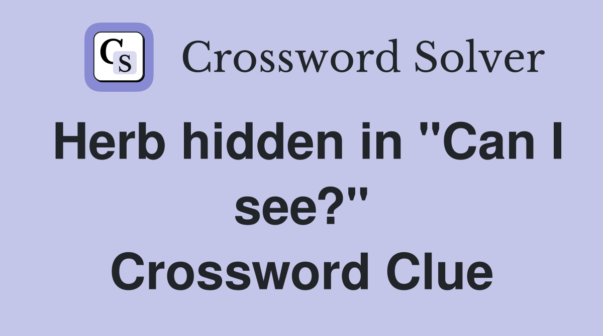 Herb hidden in "Can I see?" Crossword Clue