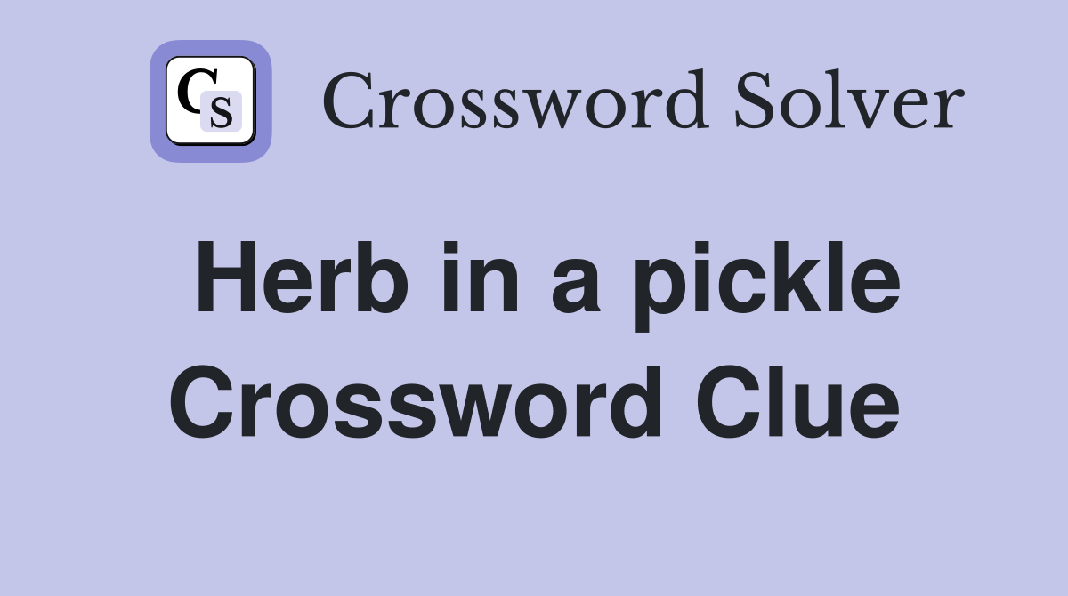 Herb in a pickle Crossword Clue