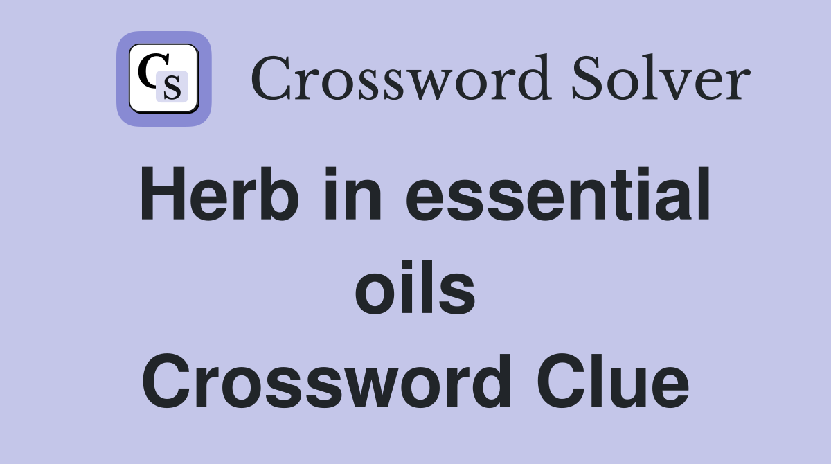 Herb in essential oils Crossword Clue