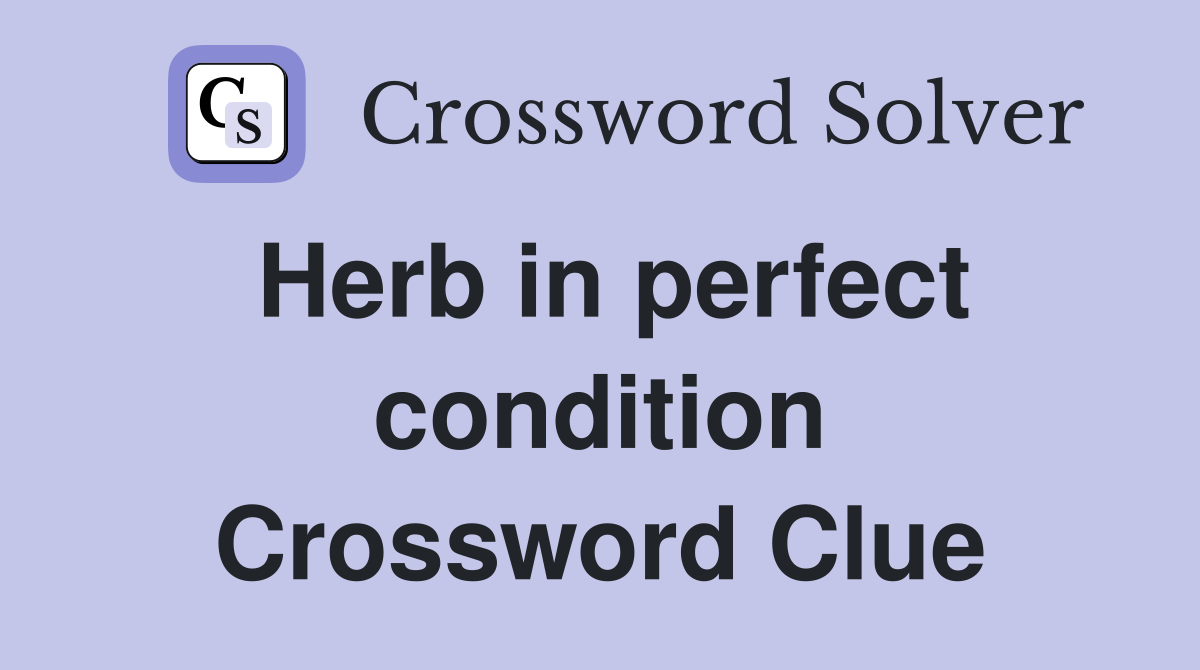Herb in perfect condition Crossword Clue
