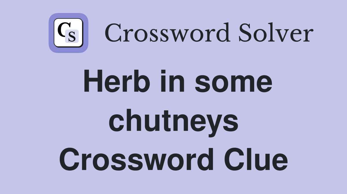 Herb in some chutneys Crossword Clue
