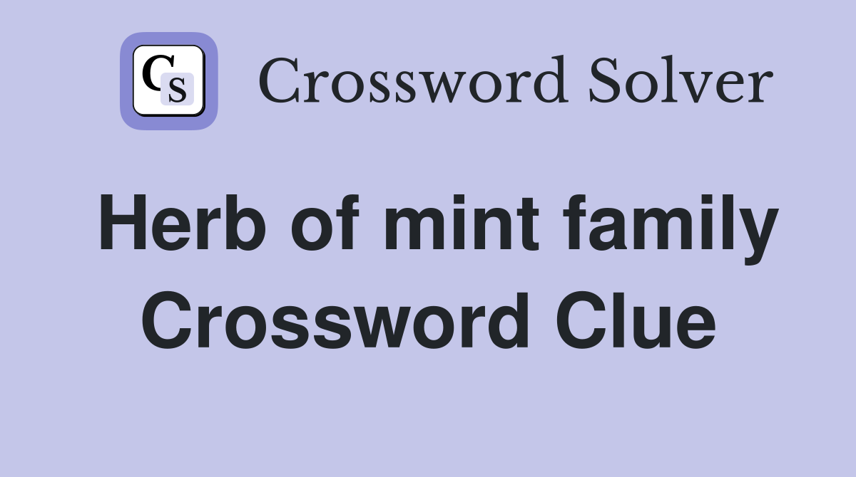 Herb of mint family Crossword Clue