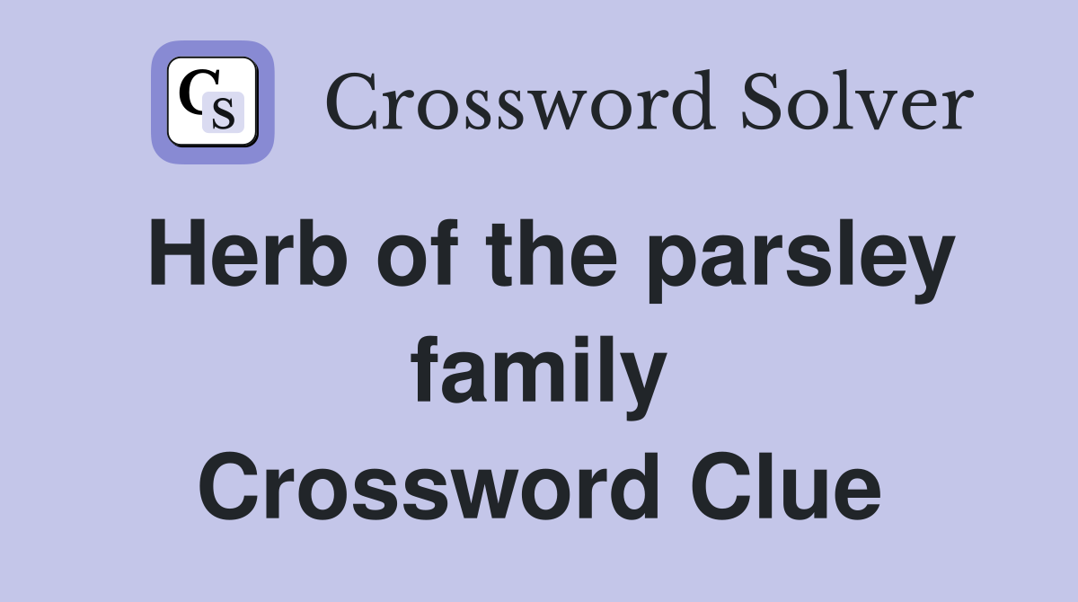 Herb of the parsley family Crossword Clue