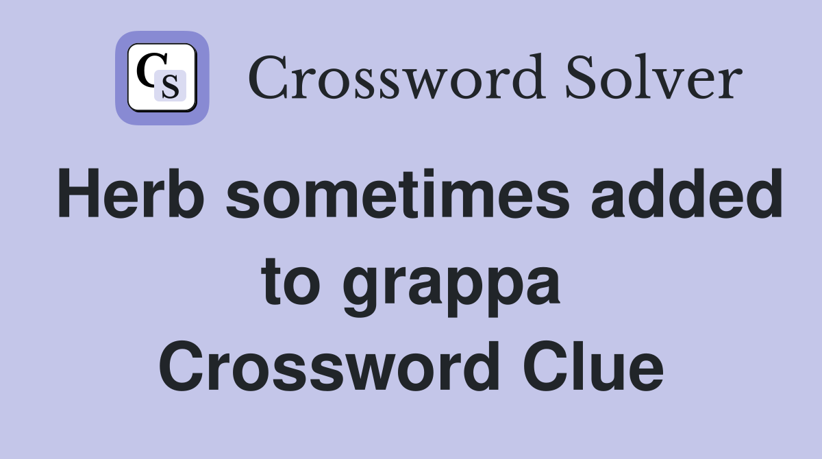 Herb sometimes added to grappa Crossword Clue