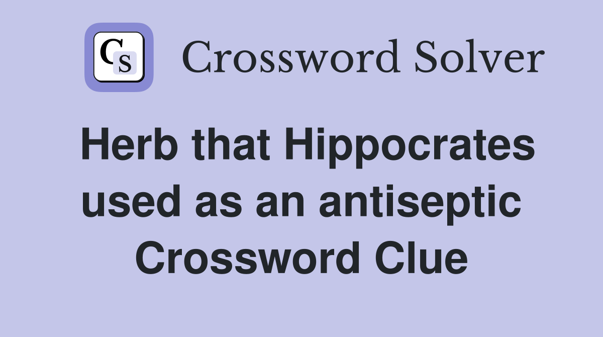 Herb that Hippocrates used as an antiseptic Crossword Clue