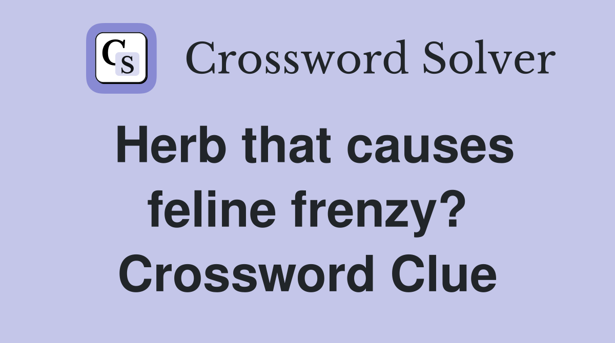 Herb that causes feline frenzy? Crossword Clue