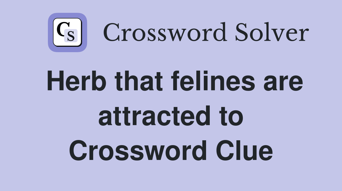 Herb that felines are attracted to Crossword Clue