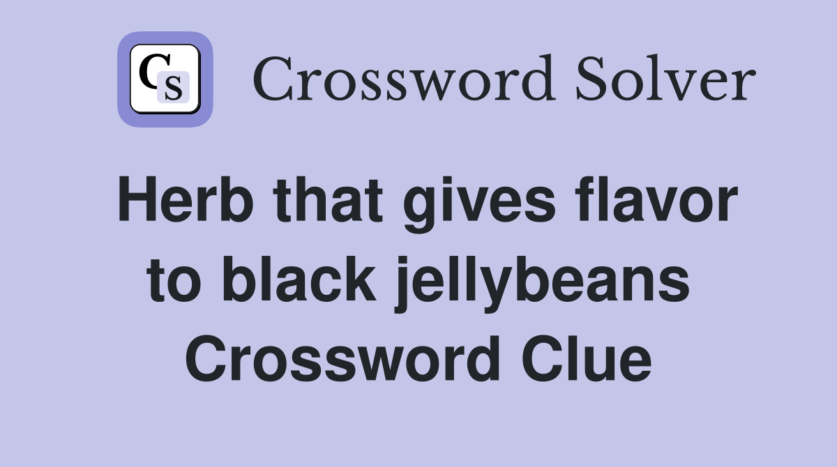 Herb that gives flavor to black jellybeans Crossword Clue