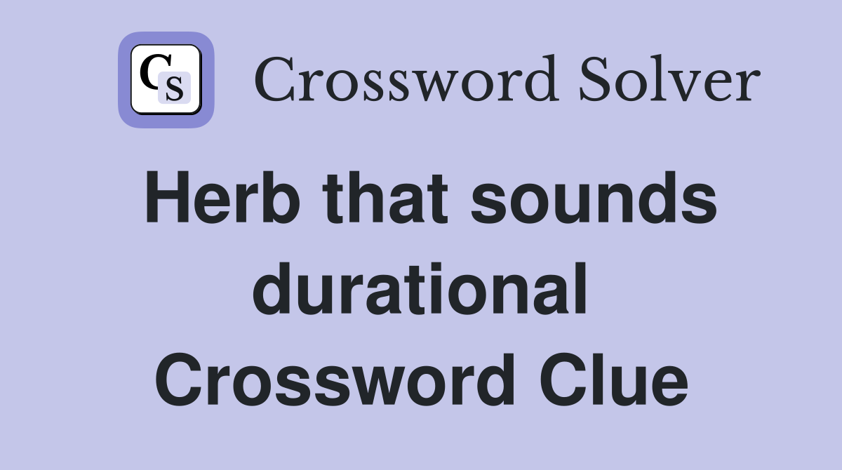 Herb that sounds durational Crossword Clue