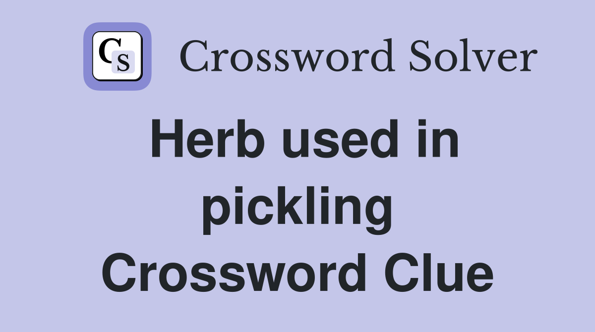 Herb used in pickling Crossword Clue