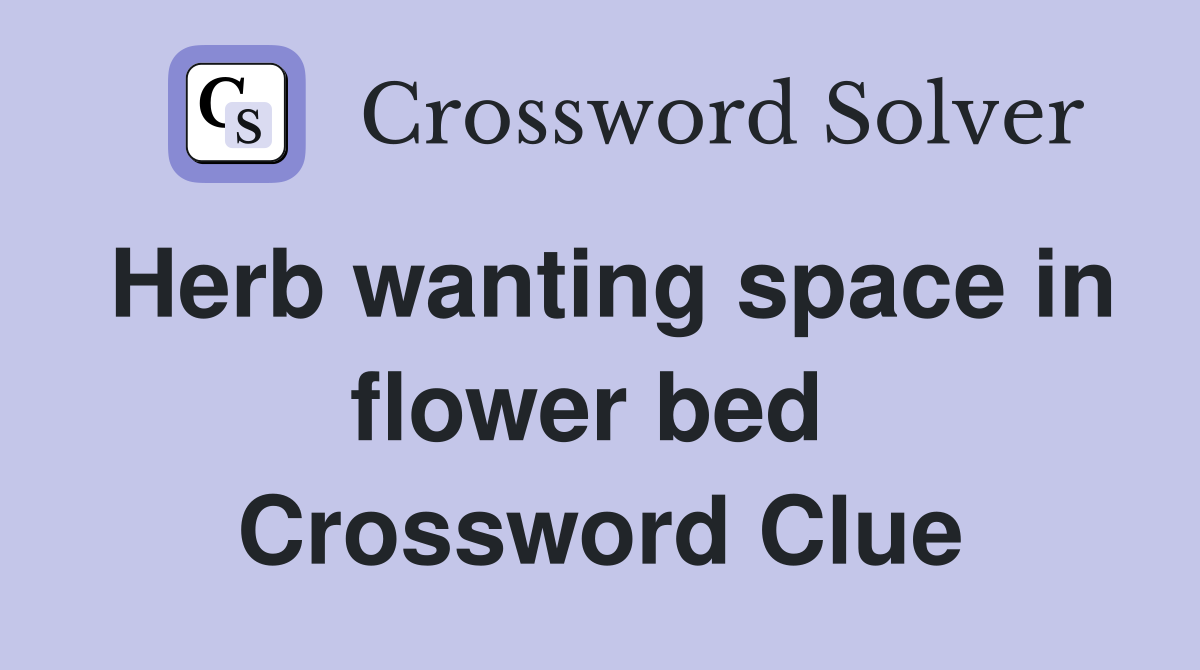 Herb wanting space in flower bed  Crossword Clue