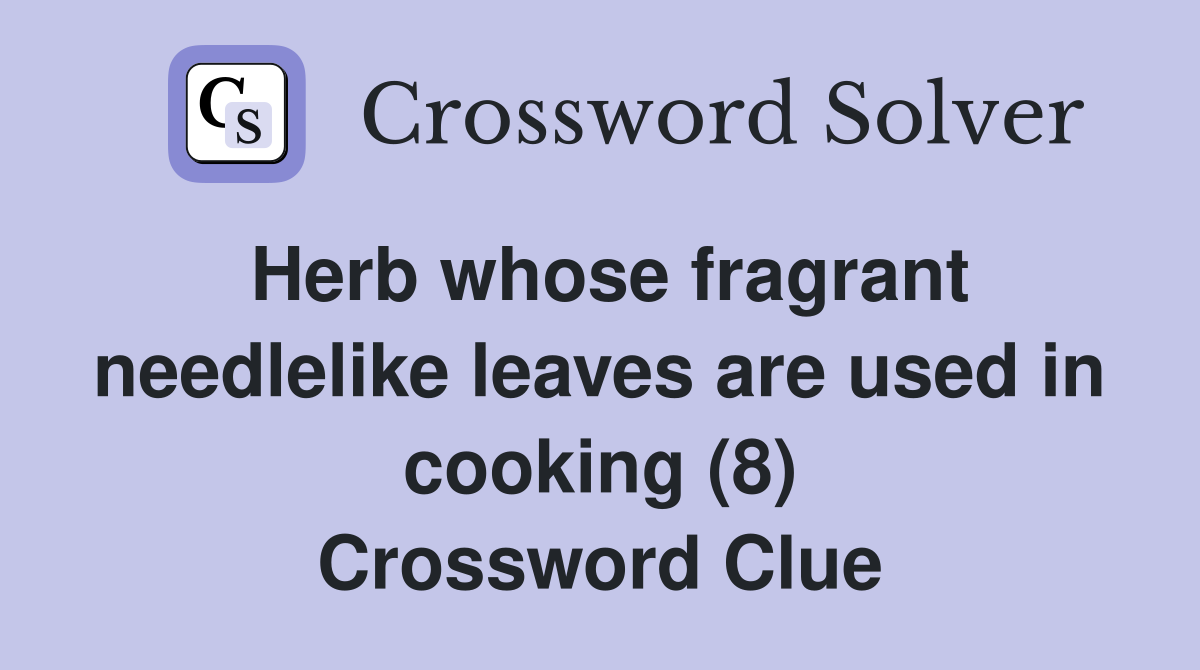 Herb whose fragrant needlelike leaves are used in cooking (8) Crossword Clue