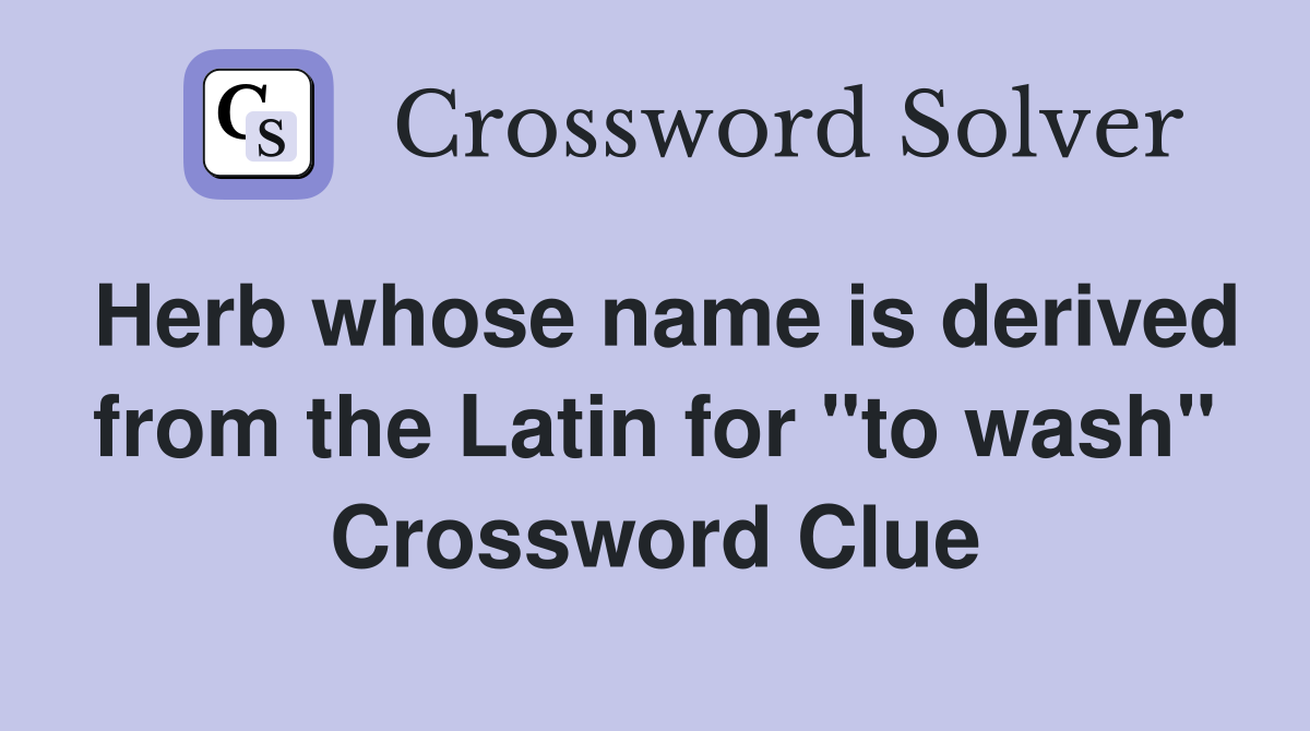 Herb whose name is derived from the Latin for "to wash" Crossword Clue