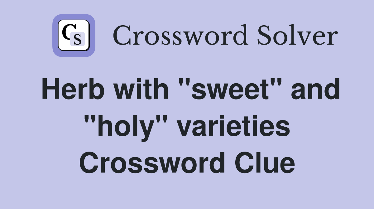 Herb with "sweet" and "holy" varieties Crossword Clue