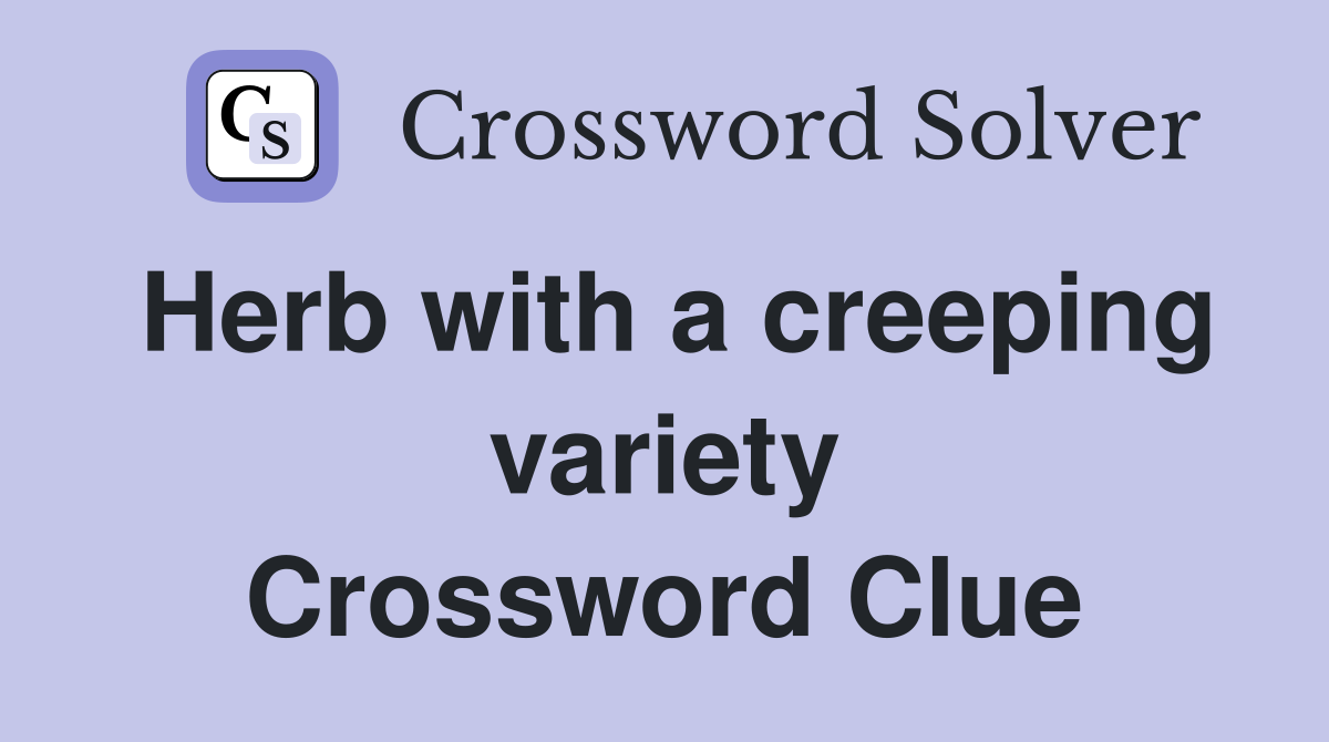 Herb with a creeping variety Crossword Clue