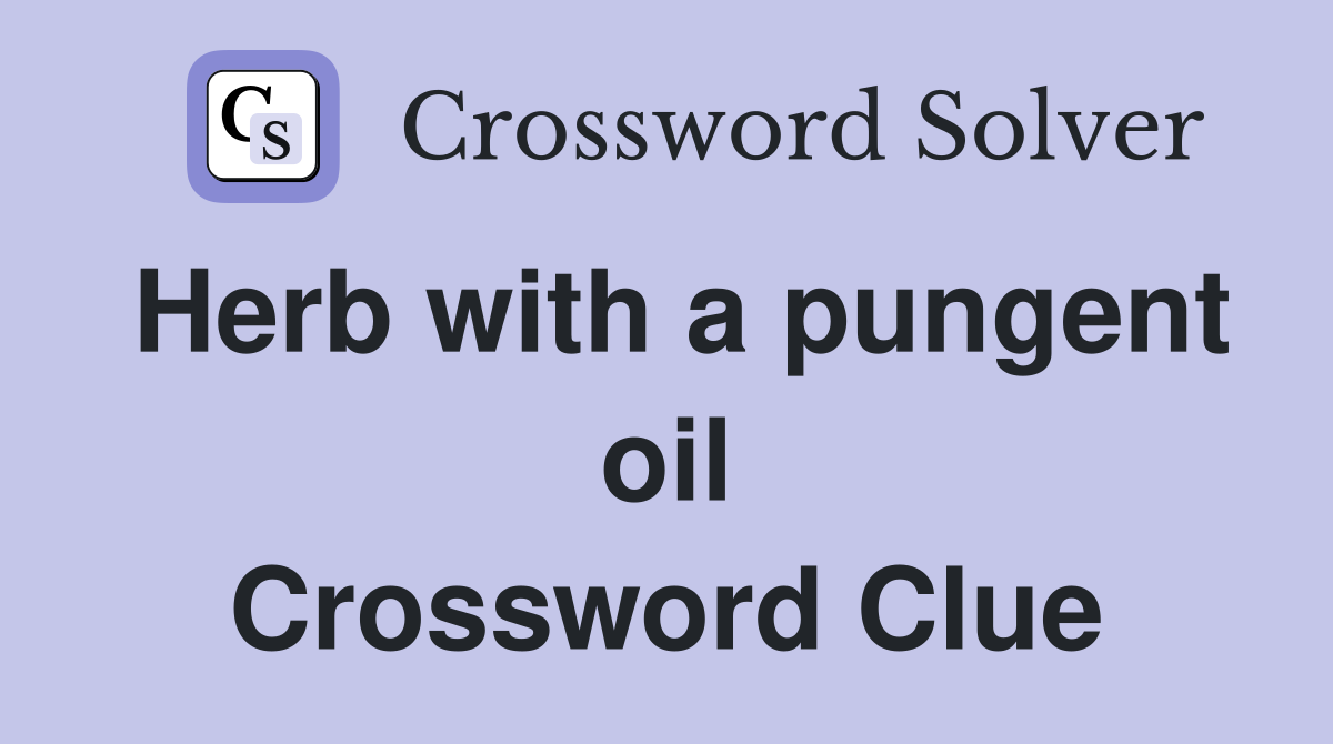 Herb with a pungent oil Crossword Clue