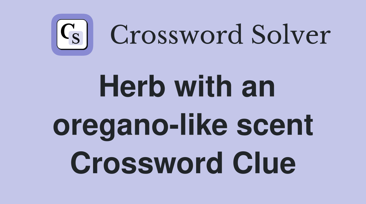 Herb with an oregano-like scent Crossword Clue