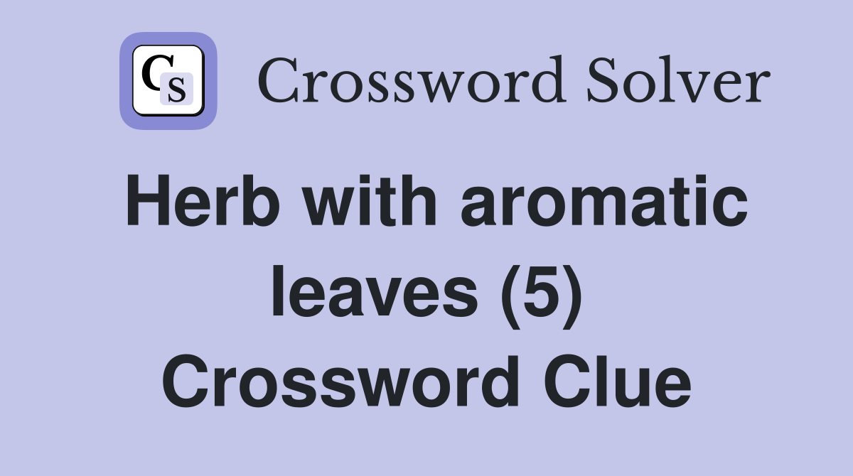 Herb with aromatic leaves (5) Crossword Clue
