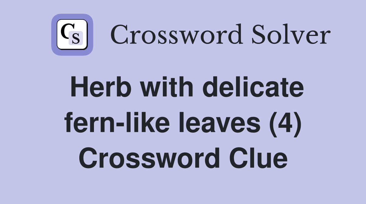 Herb with delicate fern-like leaves (4) Crossword Clue