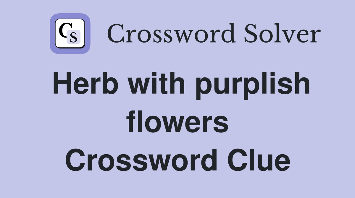 Herb with purplish flowers Crossword Clue