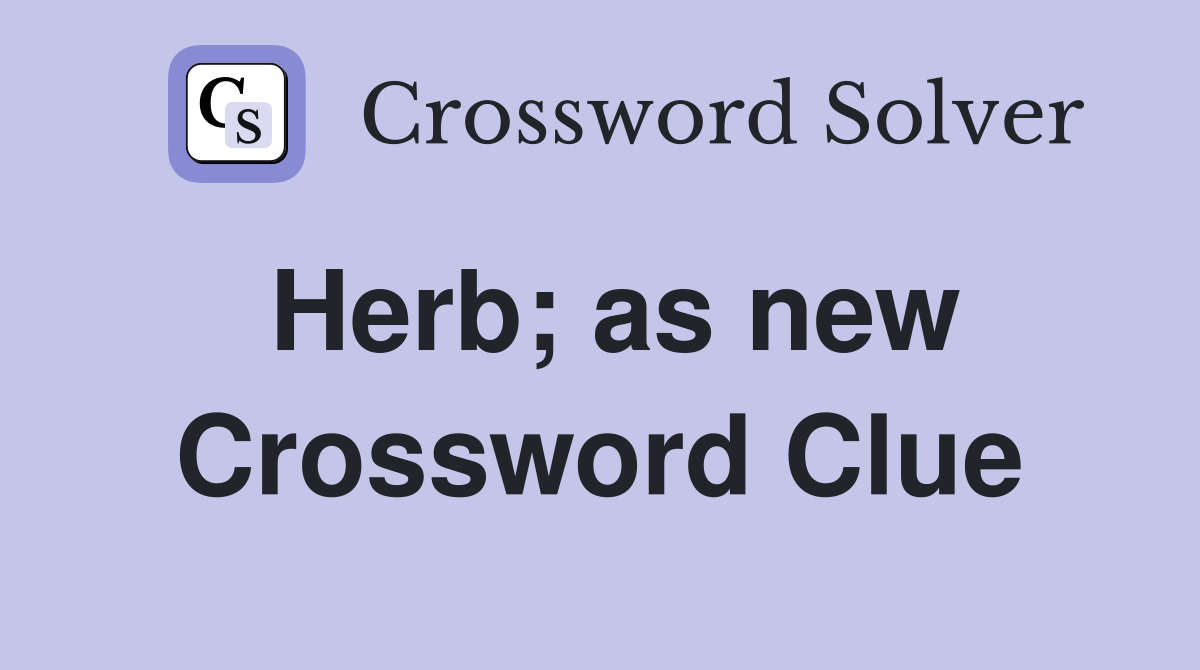 Herb; as new Crossword Clue