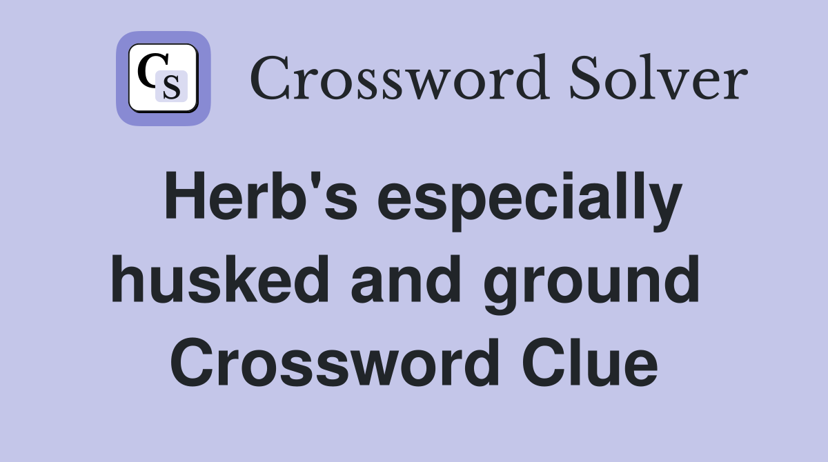 Herb's especially husked and ground  Crossword Clue