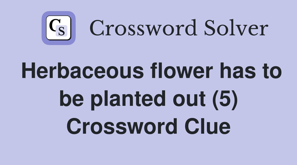 Herbaceous flower has to be planted out (5) Crossword Clue
