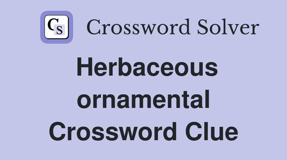 Herbaceous ornamental Crossword Clue