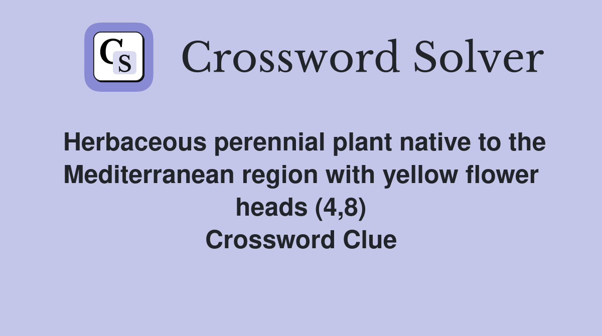 Herbaceous perennial plant native to the Mediterranean region with yellow flower heads (4,8) Crossword Clue