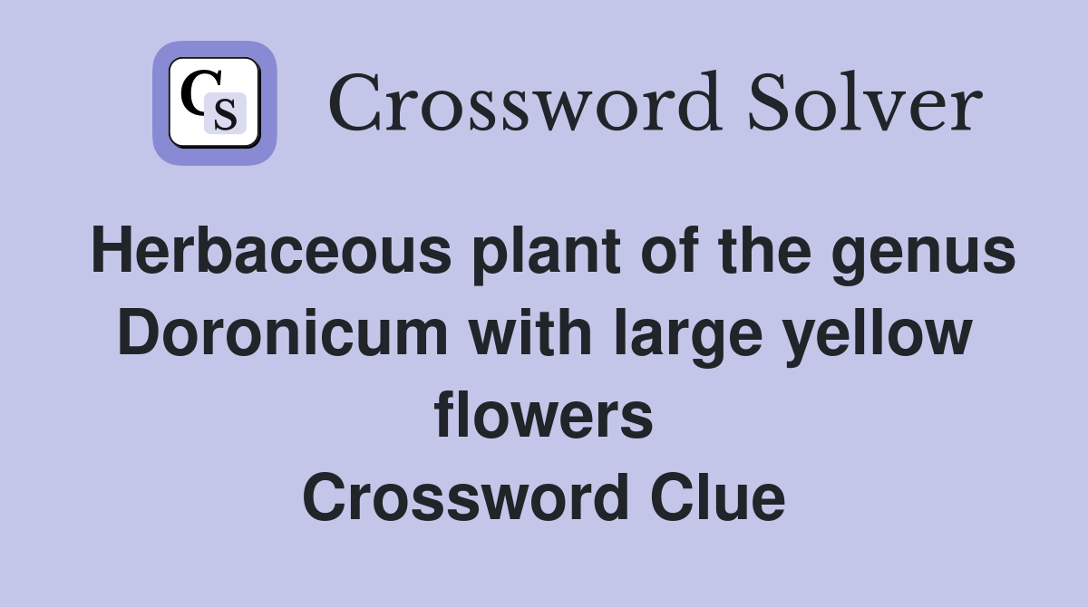 Herbaceous plant of the genus Doronicum with large yellow flowers Crossword Clue
