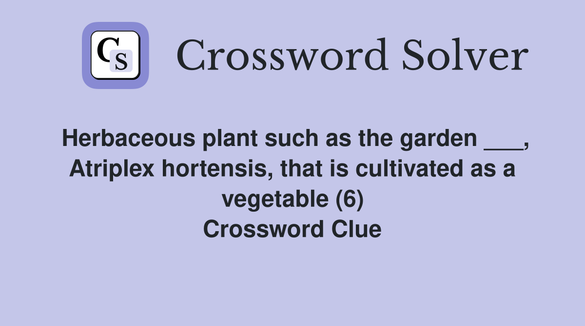 Herbaceous plant such as the garden ___, Atriplex hortensis, that is cultivated as a vegetable (6) Crossword Clue