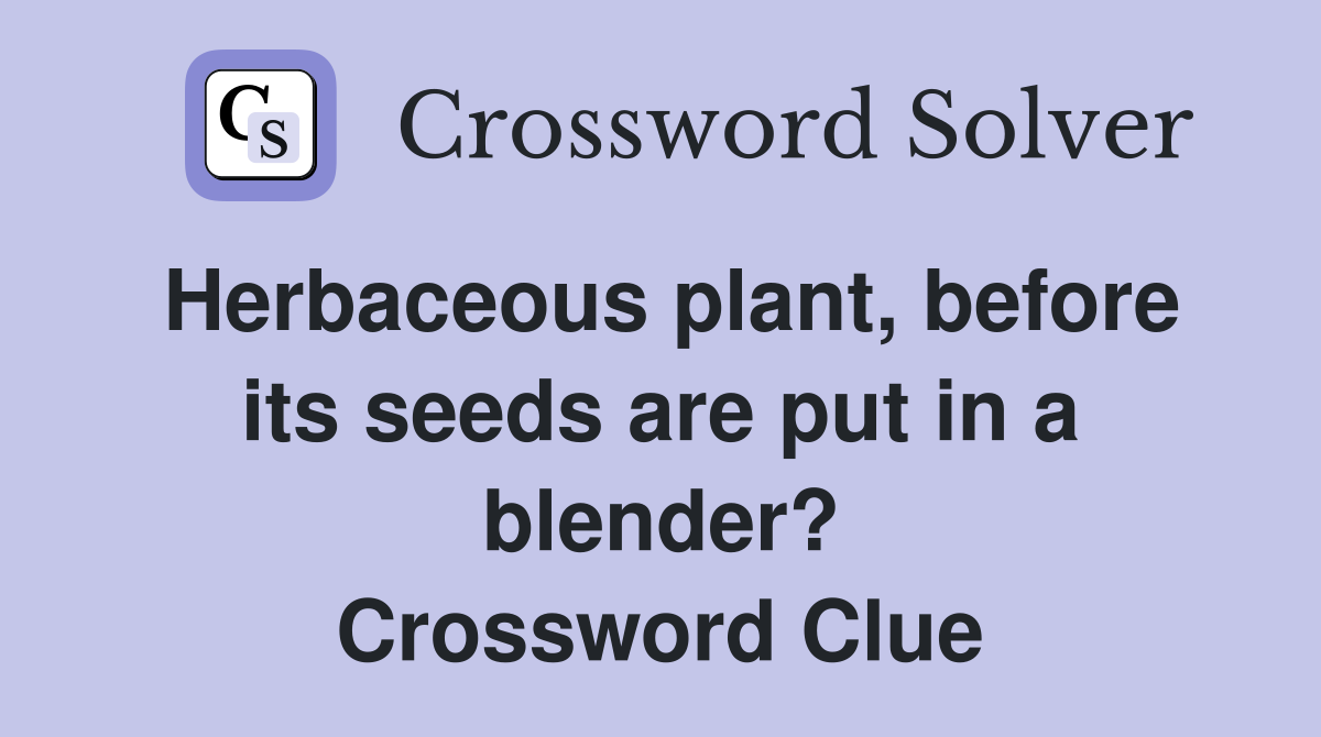 Herbaceous plant, before its seeds are put in a blender? Crossword Clue