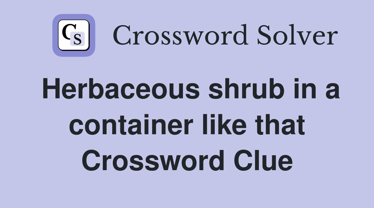 Herbaceous shrub in a container like that Crossword Clue