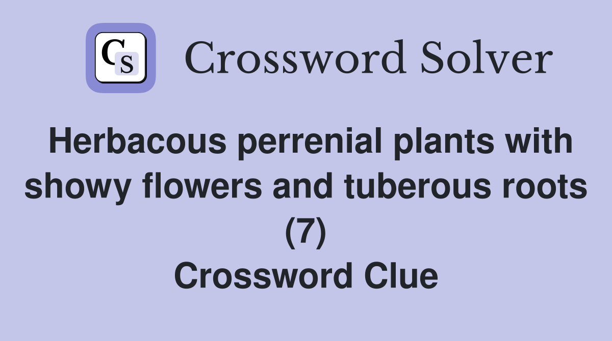 Herbacous perrenial plants with showy flowers and tuberous roots (7) Crossword Clue