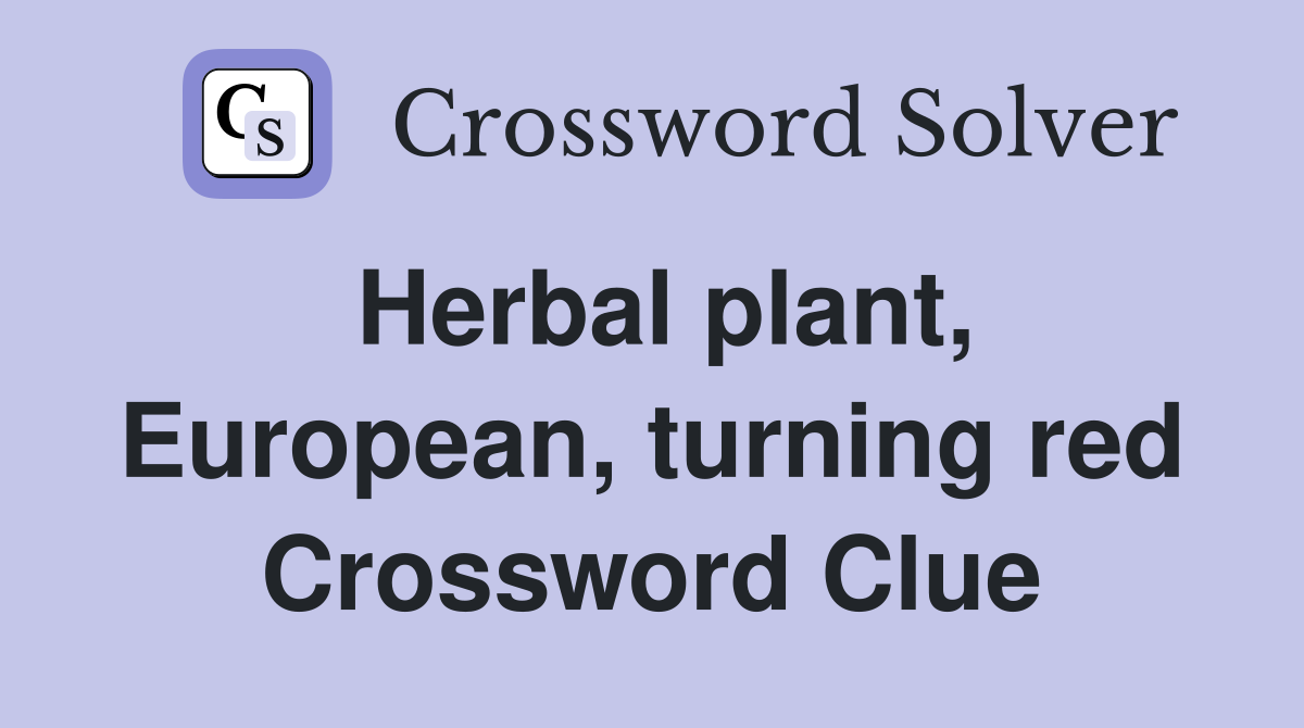 Herbal plant, European, turning red Crossword Clue