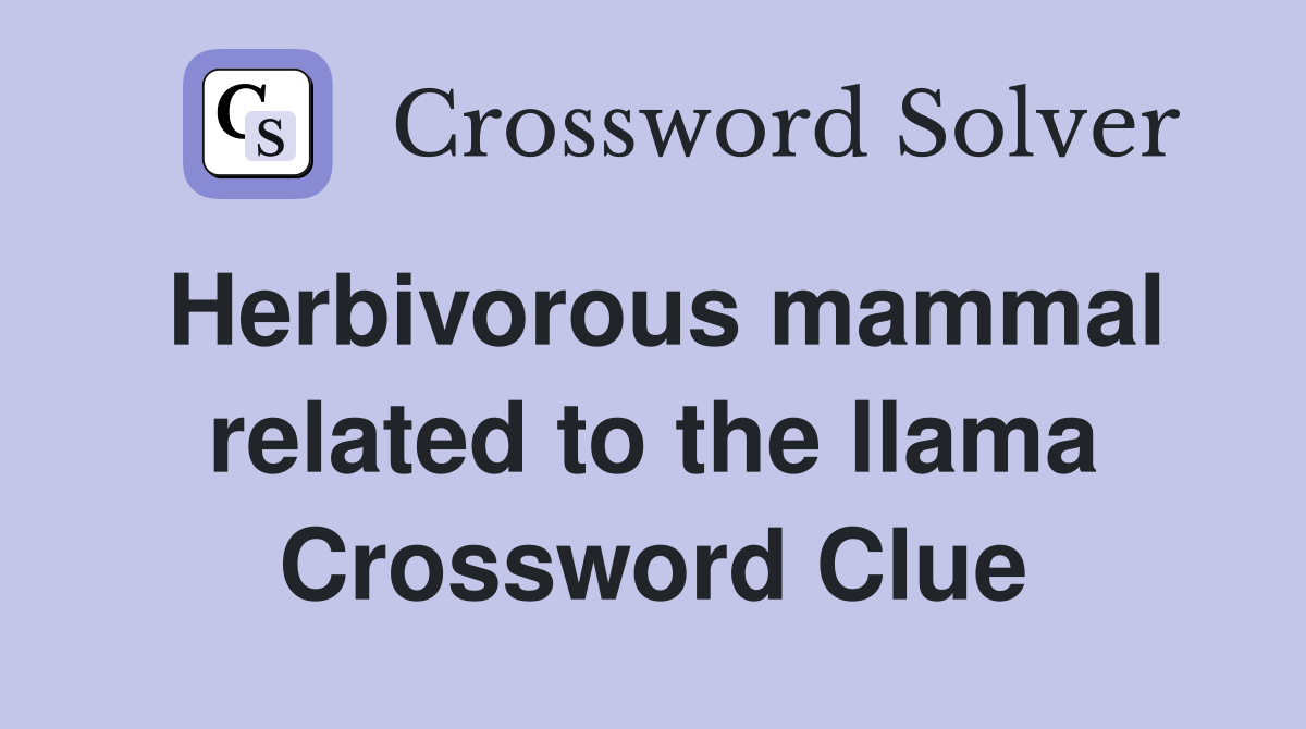 Herbivorous mammal related to the llama Crossword Clue