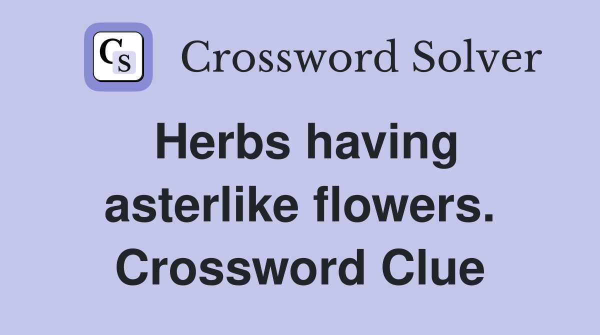 Herbs having asterlike flowers. Crossword Clue
