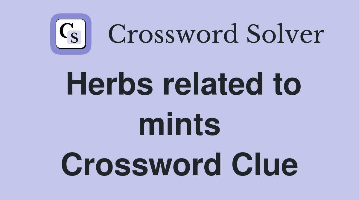 Herbs related to mints Crossword Clue