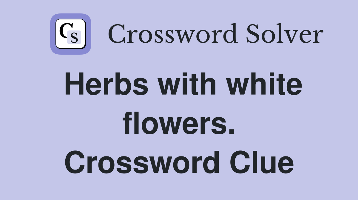 Herbs with white flowers. Crossword Clue