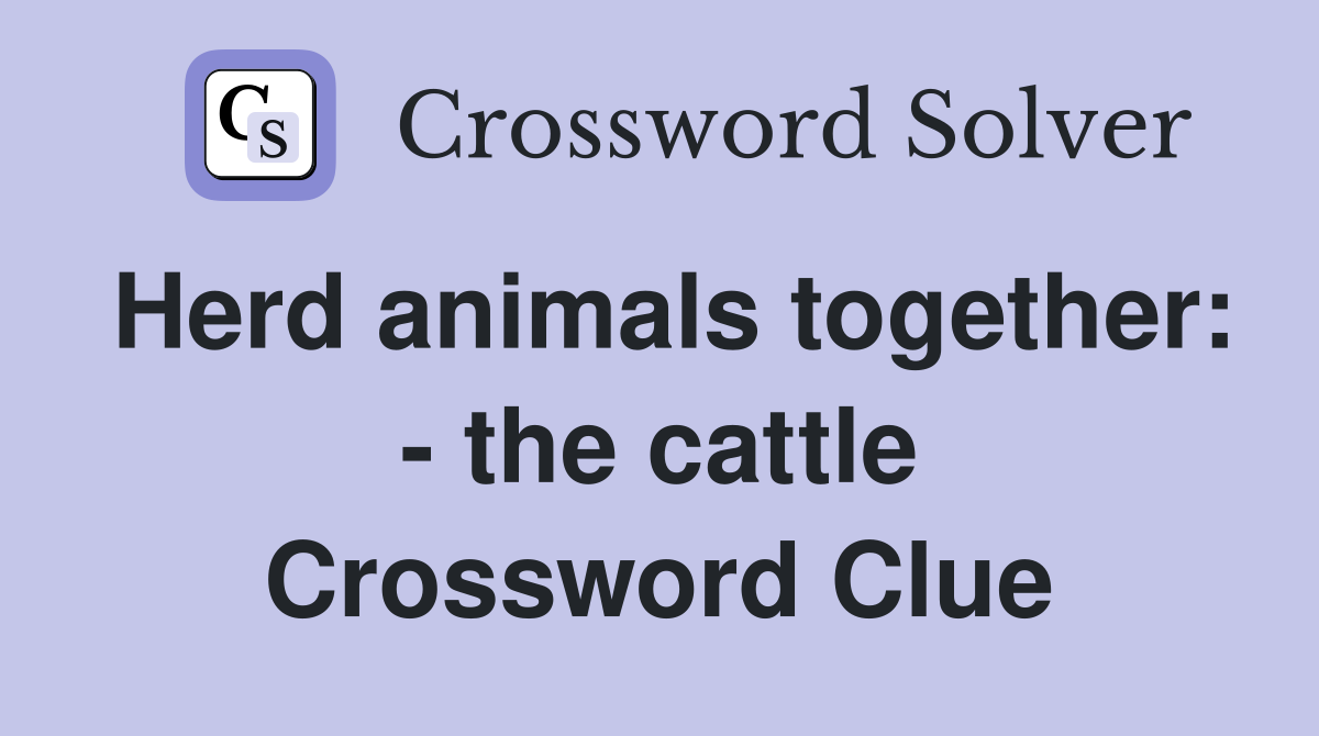 Herd animals together: - the cattle Crossword Clue