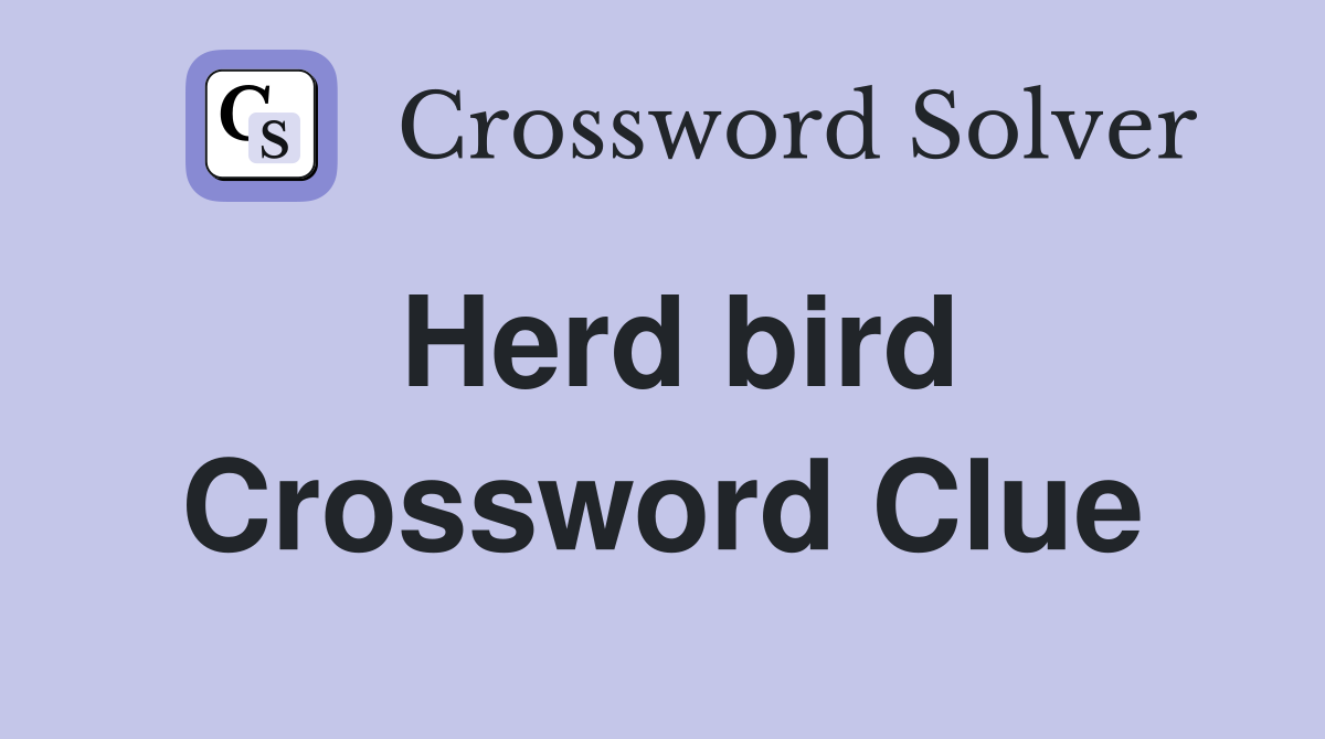 Herd bird Crossword Clue